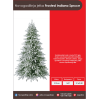 Frosted Indiana Spruce